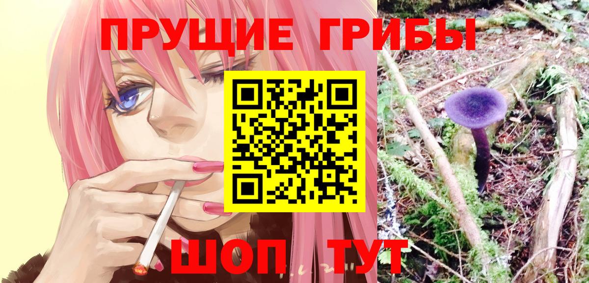 Псилоцибиновые грибы прущие грибы Качканар