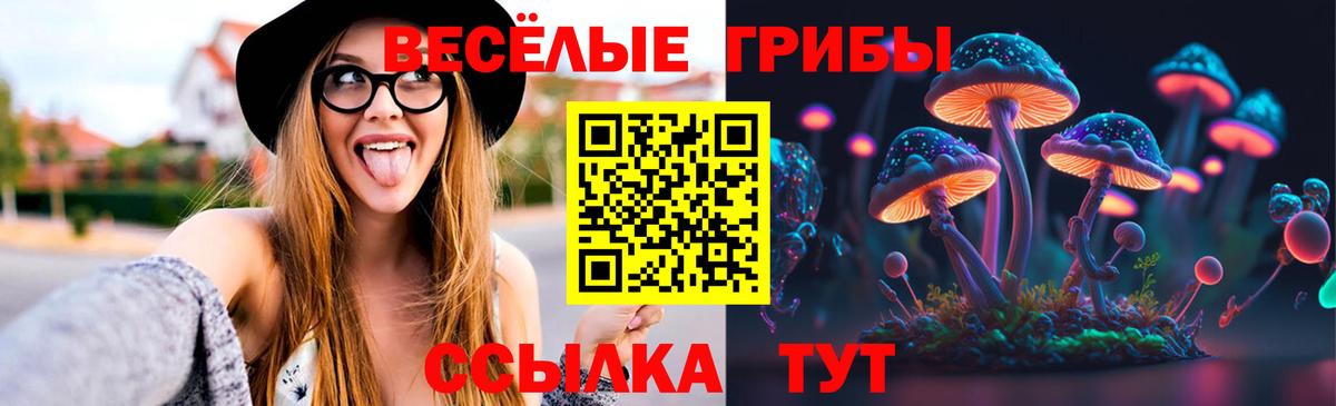 Псилоцибиновые грибы прущие грибы  Галлюциногенные грибы Cubensis  Качканар  Вход с VPN 
